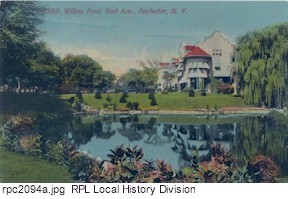 Willow Pond, East Avenue.
