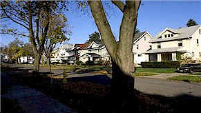 Nineteenth Ward, Rochester. 