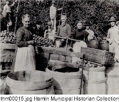 The Tenny Apple Orchard.